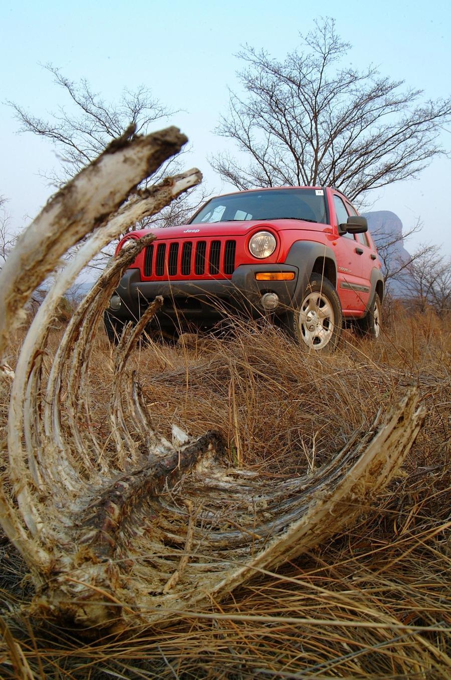  Jeep Cherokee 2002 года  (фото 94 из 130)
